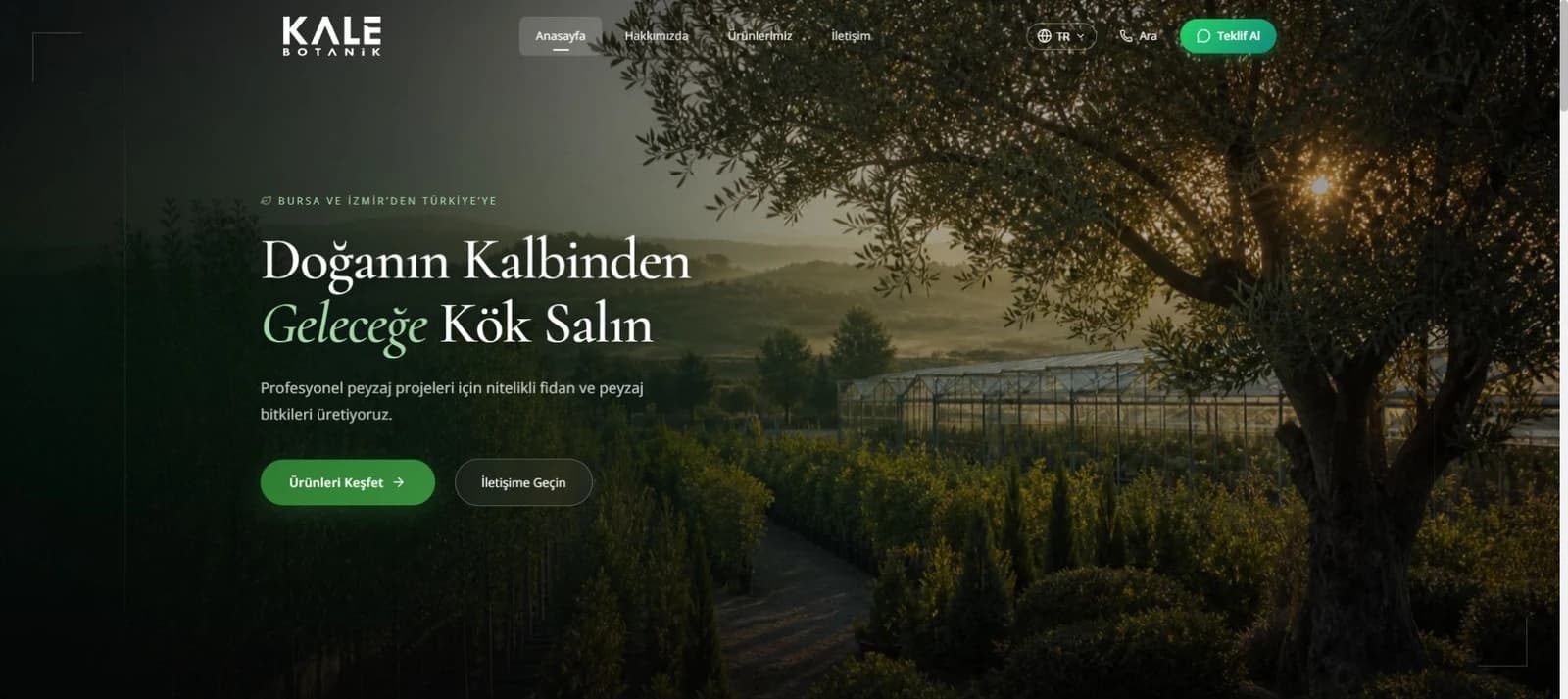 Kale Botanik web sitesinin ana sayfası